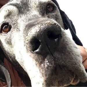 Meet your Posher, Jesse